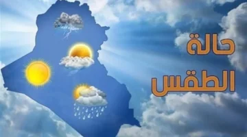 أمطار وشبورة.. توقعات الطقس الخميس 4 ديسمبر في القاهرة والمحافظات بكل التفاصيل